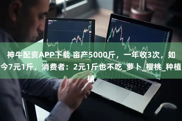 神牛配资APP下载 亩产5000斤，一年收3次，如今7元1斤，消费者：2元1斤也不吃_萝卜_樱桃_种植