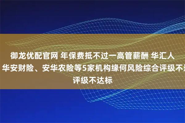 御龙优配官网 年保费抵不过一高管薪酬 华汇人寿、华安财险、安华农险等5家机构缘何风险综合评级不达标