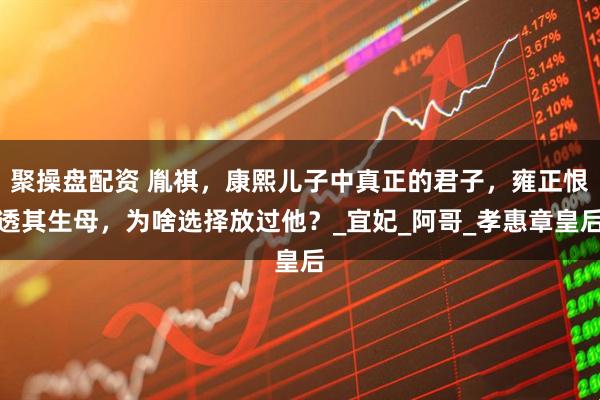 聚操盘配资 胤祺，康熙儿子中真正的君子，雍正恨透其生母，为啥选择放过他？_宜妃_阿哥_孝惠章皇后