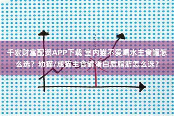 千宏财富配资APP下载 室内猫不爱喝水主食罐怎么选？幼猫/成猫主食罐蛋白质脂肪怎么选？