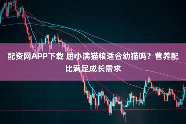 配资网APP下载 屈小满猫粮适合幼猫吗？营养配比满足成长需求